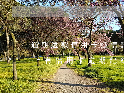 逾期還款信用卡征信記錄嗎(想貸款但是征信上有信用卡逾期記錄怎么辦)