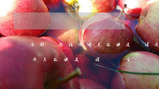 逾期還款信用卡怎么快速處理(逾期還款信用卡怎么快速處理違約金)