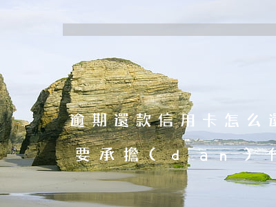 逾期還款信用卡怎么還利息(逾期還信用卡需要承擔(dān)什么法律責(zé)任)