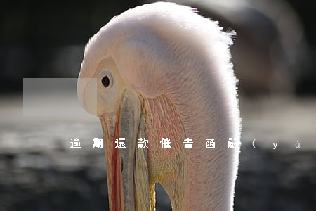 逾期還款催告函嚴(yán)重嗎