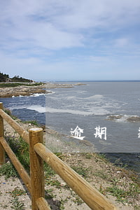 逾期還款催收通知書(催還欠款通知書)