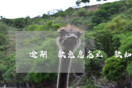 逾期還款免息怎么還款(如何申請免息還款)