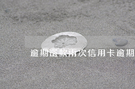 逾期還款兩次（信用卡逾期分多次還款）