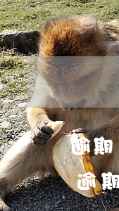 逾期還款凍結(jié)微信怎么解封(貸款逾期微信凍結(jié)能解開(kāi)嗎)