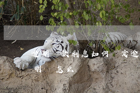 逾期還款利息如何約定 逾期還款利息約定不明確怎么辦