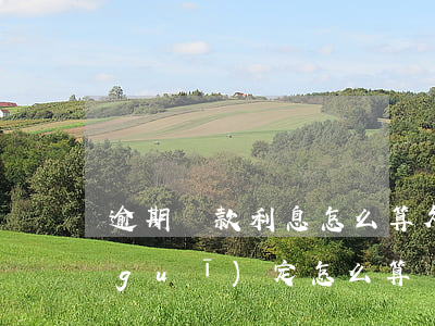 逾期還款利息怎么算(欠款逾期利息法律規(guī)定怎么算)