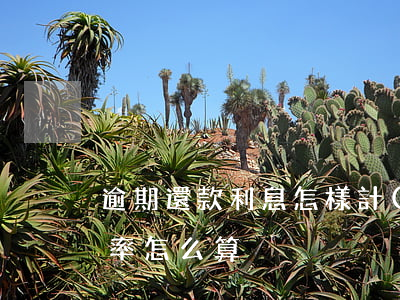 逾期還款利息怎樣計(jì)算(逾期還款利率怎么算)