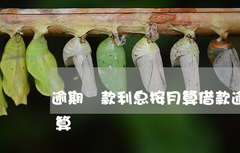 逾期還款利息按月算(借款逾期不還利息怎么算)