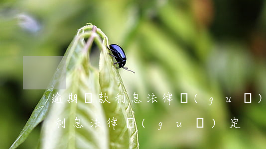 逾期還款利息法律規(guī)定(逾期還款利息法律規(guī)定)
