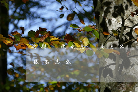 逾期還款利息過高怎么辦(貸款逾期幾天利息很高怎么辦)