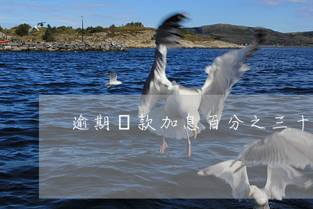 逾期還款加息百分之三十