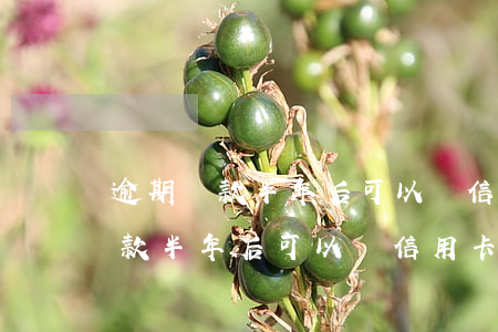 逾期還款半年后可以辦信用卡了嗎-逾期還款半年后可以辦信用卡了嗎知乎