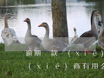逾期還款協(xié)商有用么(逾期還款協(xié)商有用么)