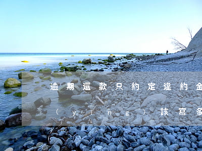 逾期還款只約定違約金(逾期未還款違約金應(yīng)該寫多少合適?)