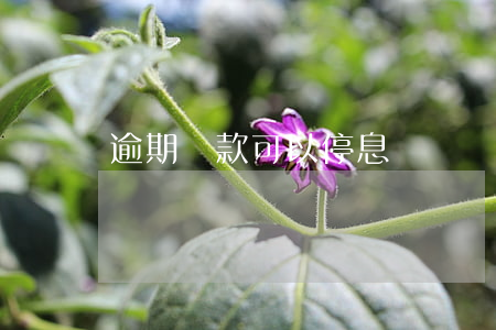 逾期還款可以停息掛賬嗎(逾期還款可以停息掛賬嗎)