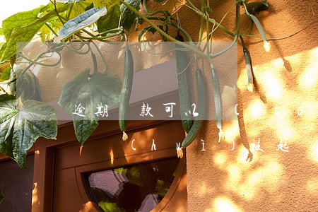 逾期還款可以報(bào)案嗎(逾期還款了還會(huì)被起訴嗎)