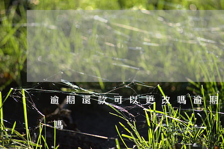 逾期還款可以更改嗎(逾期還款記錄可以更改嗎)