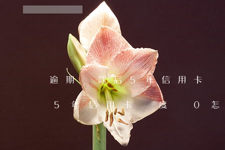 逾期還款后5年信用卡額度為0(逾期還款后5年信用卡額度為0怎么辦)