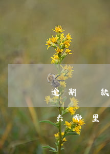 逾期還款后5級(jí)關(guān)注去哪里消除呢-逾期還款后5級(jí)關(guān)注去哪里消除呢