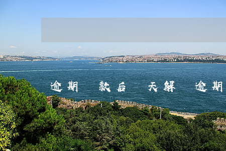 逾期還款后兩天解凍(逾期第二天就還了)
