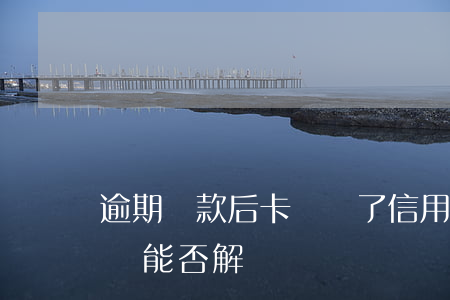 逾期還款后卡凍結了(信用卡逾期還款被凍結還能否解凍)
