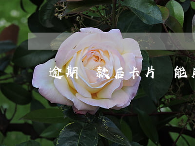 逾期還款后卡片還能用嗎（逾期的卡片還有年費嗎）