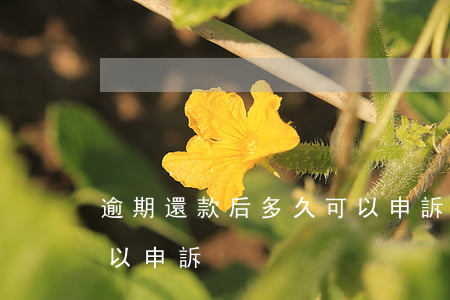 逾期還款后多久可以申訴(逾期還款后多久可以申訴)
