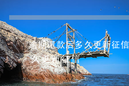 逾期還款后多久更新征信（信用卡逾期還了多久更新征信）
