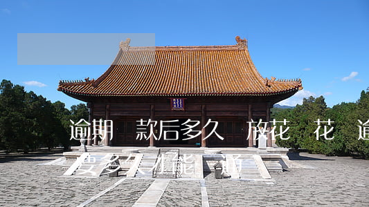 逾期還款后多久開放花唄(花唄逾期了還清了,要多久才能開通)