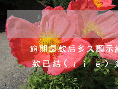 逾期還款后多久顯示結(jié)清(逾期欠款已結(jié)清,征信什么時候顯示結(jié)清)