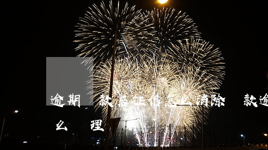逾期還款后征信怎么消除(還款逾期后征信怎么處理)