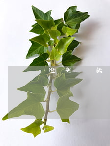 逾期還款后怎么取消(逾期還款后怎么取消)