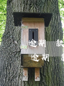 逾期還款后會(huì)有什么后果(什么是逾期還款,逾期還款有哪些危害)