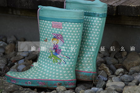 逾期還款后會上征信么(逾期還款上征信有啥影響)