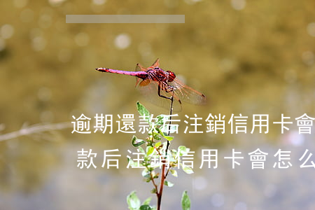 逾期還款后注銷信用卡會怎么樣嗎-逾期還款后注銷信用卡會怎么樣嗎知乎