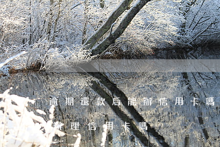 逾期還款后能辦信用卡嗎(信用卡逾期后還能辦理信用卡嗎)