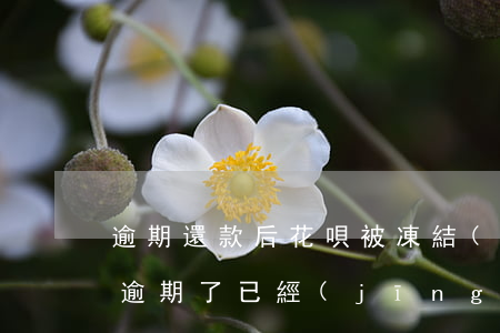 逾期還款后花唄被凍結(jié)(花唄之前逾期了,已經(jīng)還了,可用額度被凍結(jié))