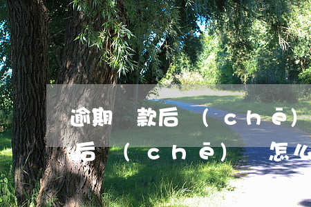 逾期還款后車(chē)貸怎么辦(逾期還款后車(chē)貸怎么辦)