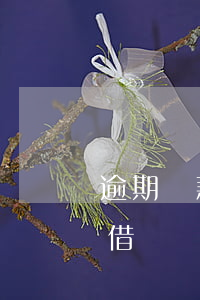 逾期還款后還能借出來嗎(逾期了還款后還能借嗎)