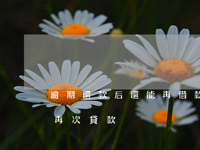 逾期還款后還能再借款嗎(逾期還了多久可以再次貸款)
