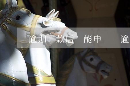 逾期還款后還能申訴嗎(逾期了以后怎么還款)