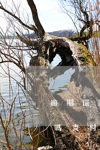 逾期還款后還能貸款嗎(逾期還款后還能貸款嗎支付寶)