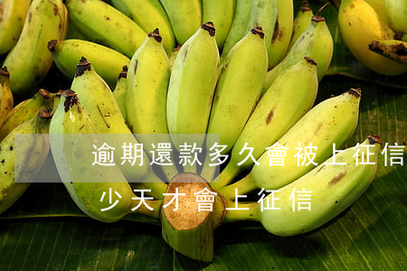 逾期還款多久會被上征信(信用卡逾期還款多少天才會上征信)