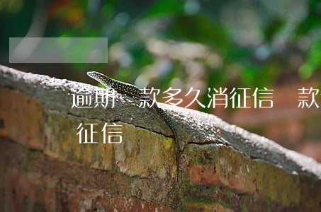 逾期還款多久消征信(貸款逾期還清后多久消征信)