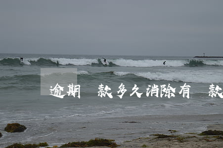 逾期還款多久消除(有還款逾期怎么消)