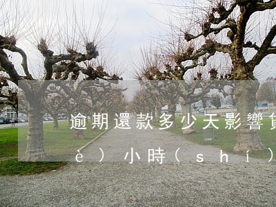 逾期還款多少天影響貸款(還款逾期幾個(gè)小時(shí)有影響嗎)