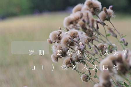 逾期還款多少錢納入失信(逾期多少錢會(huì)被列入失信名單)
