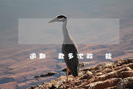 逾期還款多次政審能過嗎(有逾期記錄政審能過嗎)