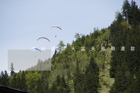 逾期還款天，當天逾期還款