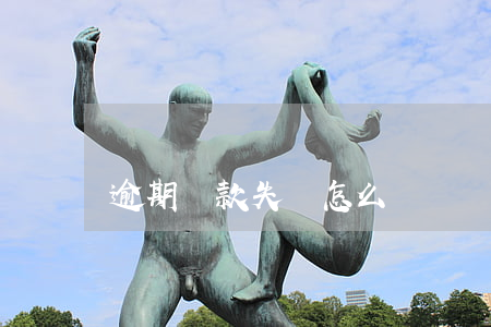 逾期還款失敗怎么辦